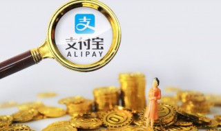 账户个人划入本金是什么意思 账户个人划入本金的含义