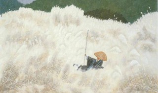 箬篷覆之中箬篷的意思 箬篷覆之中箬篷解释