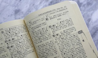 苗条的的意思 苗条的含义