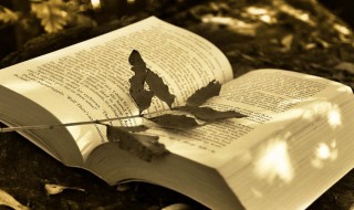 翘望的意思 翘望的解释