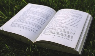 瓢泼大雨的意思 瓢泼大雨的解释