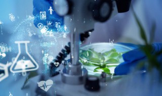 什么是截位法 截位法的解释