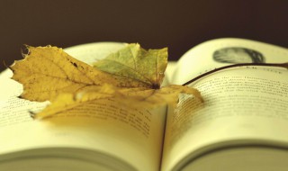 鼓励学生的优美语句 鼓励学生的经典句子