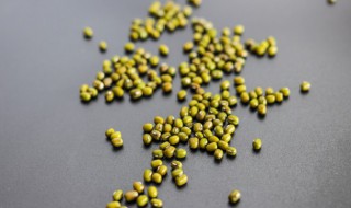 绿豆雪糕的做法 怎么做绿豆雪糕