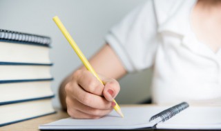 开学了五年级500字作文 开学了五年级作文范文