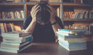 法家的主要思想是什么 法家的主要思想解释