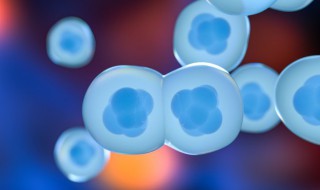 什么是表达的蛋白 表达的蛋白是什么