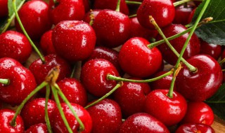新鲜樱桃怎么保存时间长 怎么保存新鲜樱桃时间长