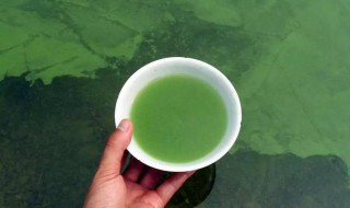 什么是水华 水华解释