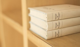 什么是双关 双关解释