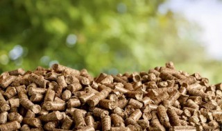 什么是生物质能 生物质能介绍