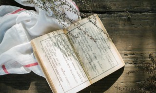 谷口春残黄鸟稀下一句是什么 谷口春残黄鸟稀下一句是什么呢