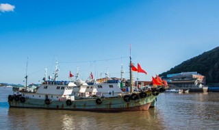 日本最大的渔场 日本最大的渔场介绍