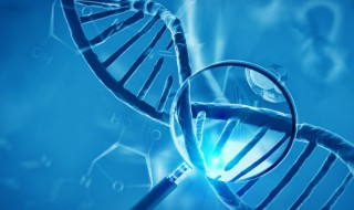 基因突变的特点是什么 基因突变的特点介绍