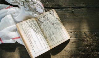 晁保正的保正是什么意思 晁保正的保正到底是什么意思?