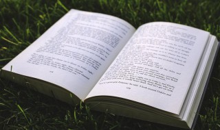 读组词语 读怎么组词语