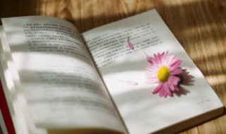 春的四字词语 带春字的四字词语有哪些