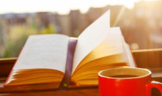 头头是道中的道是什么意思 头头是道的含义