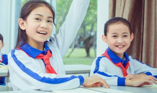 脂和酯在化学上的区别是什么 脂和酯在化学上的区别