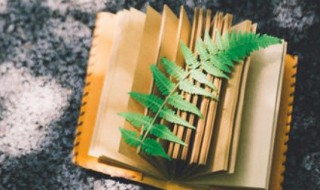 亭亭净植的植什么意思 亭亭净植的出处