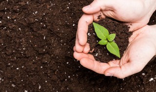 土的密实度什么意思 土的密实度解释