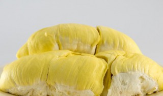 金枕榴莲怎么挑选 金枕榴莲的挑选方法