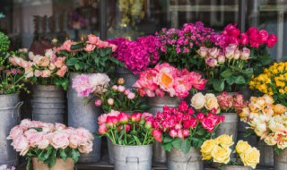 中午浇花会不会把花浇死 中午浇花会把花浇死吗