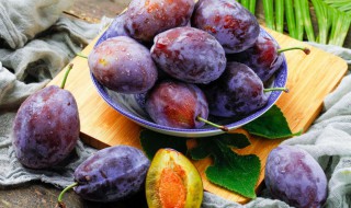 西梅种子怎么种 如何种西梅种子