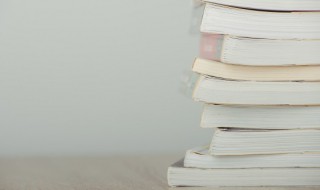 红星照耀中国好句大全 关于红星照耀中国好句大全