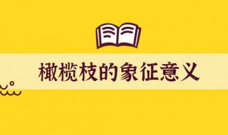 橄榄枝代表什么 橄榄枝都代表什么