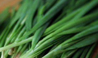 韭菜花上面的花要摘掉吗 韭菜花上面的花要不要摘掉