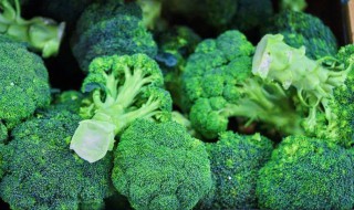 西兰花开花了变黄了还能吃吗 西兰花开花了变黄了还能不能吃