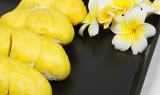 榴莲苗耐寒最低多少度 榴莲苗耐寒的温度是多少