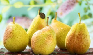 梨组词 梨如何组词