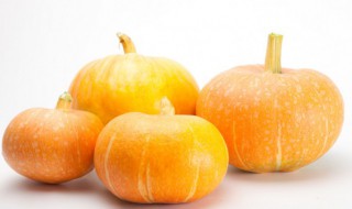 贝贝瓜和普通南瓜有什么区别 贝贝瓜和普通南瓜有哪些区别