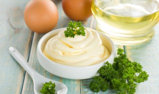 salad怎么读 salad的读音