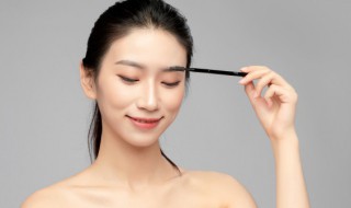 卧蚕眉是什么样子 卧蚕眉的介绍