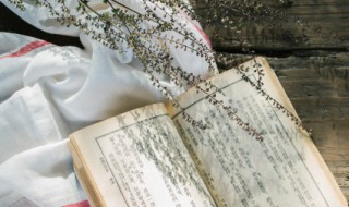 齐己矍然中的矍什么意思 齐己矍然含义