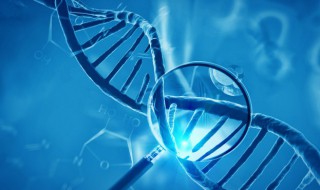 生物富集是什么意思 生物富集意思是什么