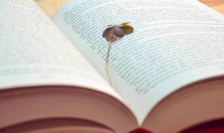 阔组词语 阔怎么组词语