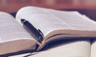 薄组词语 薄怎么组词语