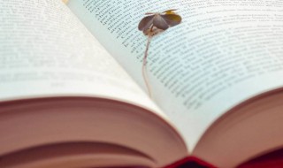 神奇是什么意思 神奇解释