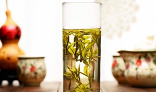 紫芽红茶是什么茶 紫芽红茶是属于什么茶