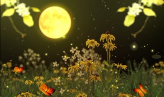 只是朱颜改的下一句话是什么 只是朱颜改原文介绍