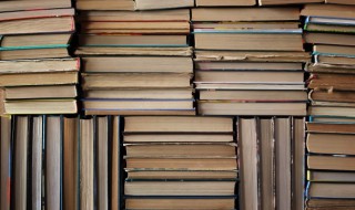 楸怎么读 楸的读音