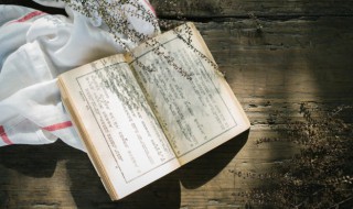 恹怎么读 恹的读音