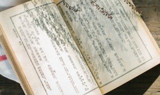 辄怎么读音 辄如何读音