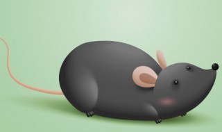 家有老鼠怎么能全部消灭 家有老鼠解决方法