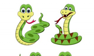 梦见蛇咬自己预示着什么 是不是不好的预兆