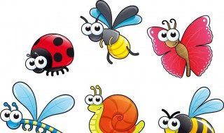 梦见虫子预示着什么 是不是有不好的事情发生